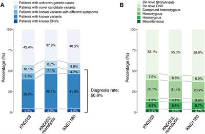 Systematic analysis of inheritance pattern determination in genes that cause rare neurodevelopmental diseases